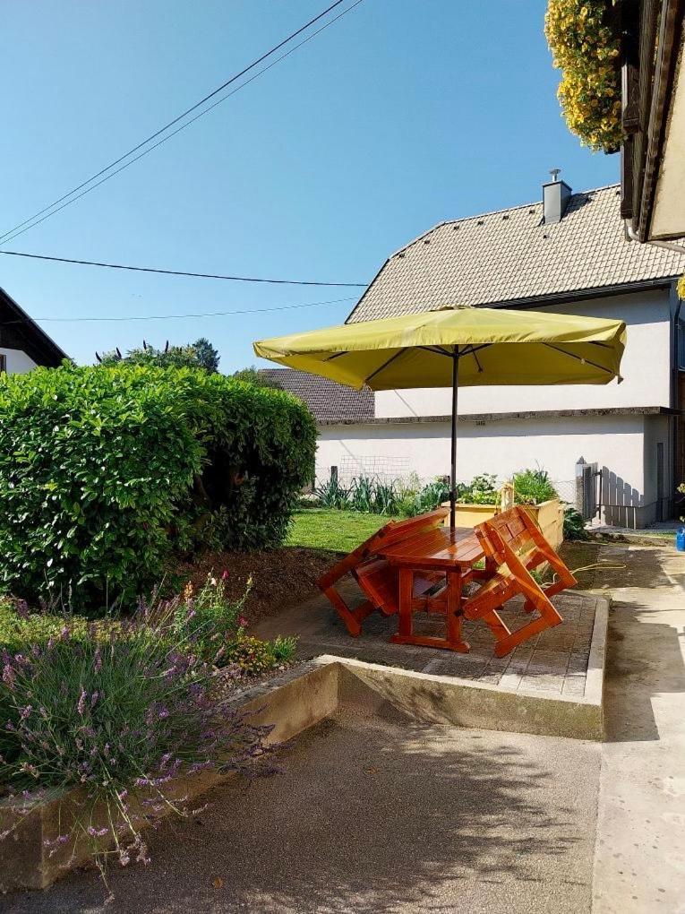 Apartma Jana Zirovnica Exterior foto